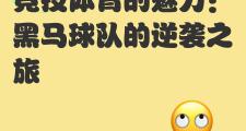 Kaiyuan Game card-射箭比赛中黑马崛起，或将引领新风潮？的简单介绍