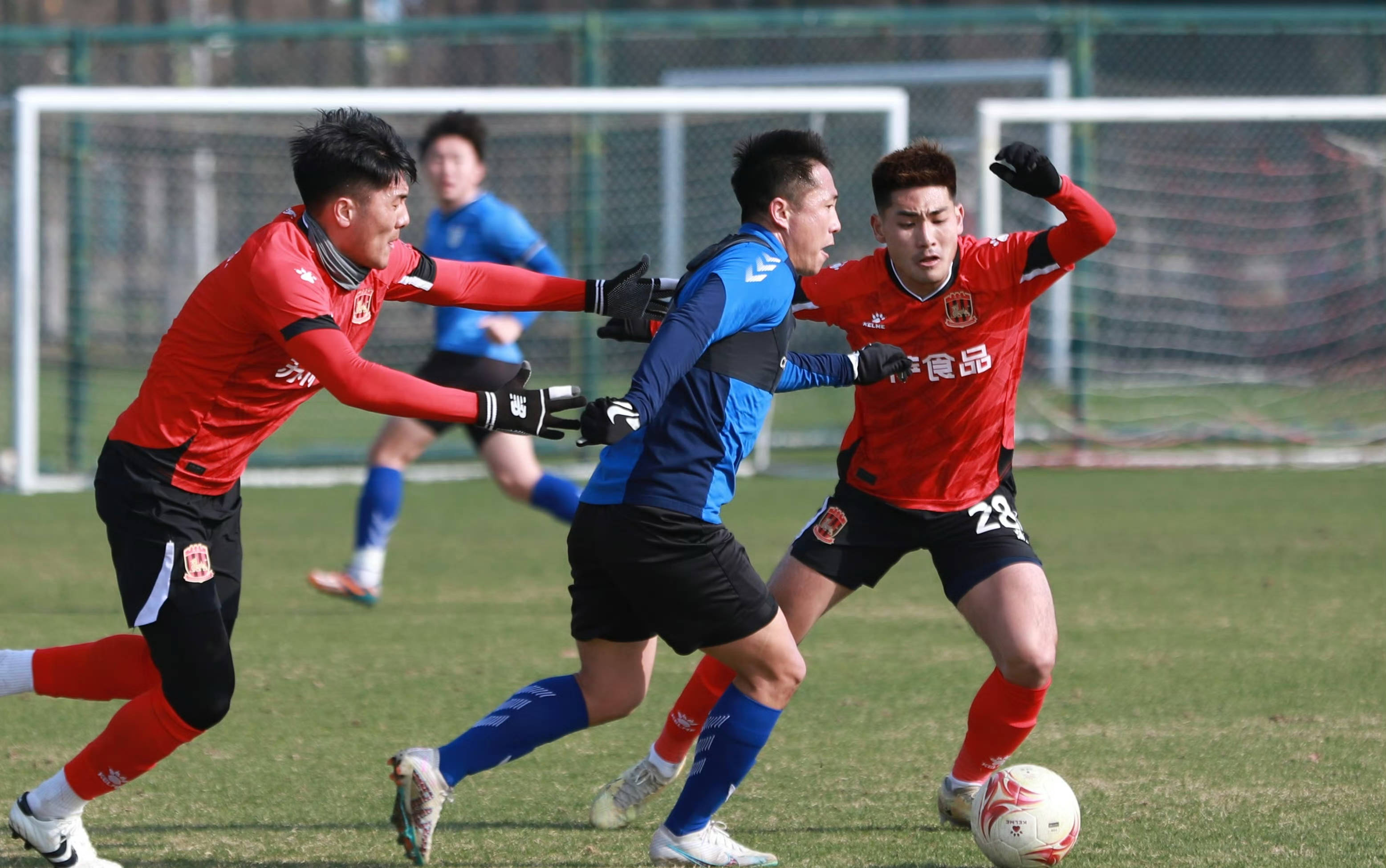 关于大连人队在比赛中取得不败战绩,晋级强的信息 关于大连人队在比赛中取得不败战绩,晋级强的信息