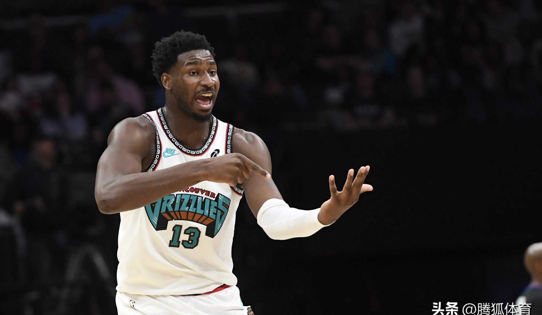 篮板数据领跑者克里斯坎纳迪